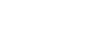 Audit Expert Mind